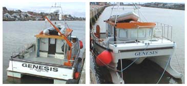 The MV Genesis